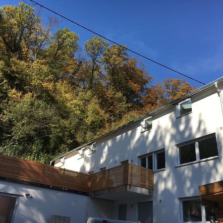 Ferienwohnungen Lamisto Am Waldesrand Neckartenzlingen Bagian luar foto